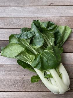 Produktfoto zu Pak Choi ca. 300g