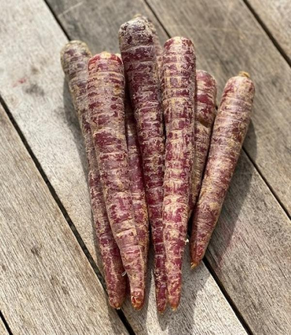 Produktfoto zu Rote Möhren, Rote Helene