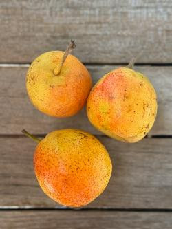 Produktfoto zu Nashi Birne