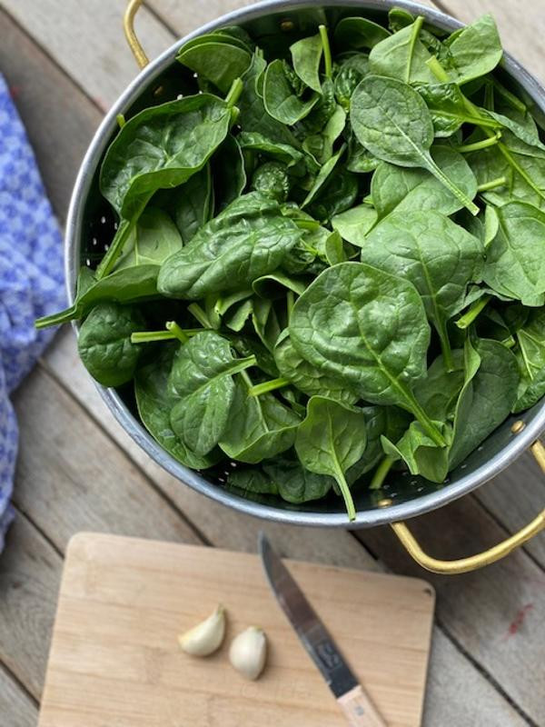 Produktfoto zu Spinat, Wurzelspinat 400g