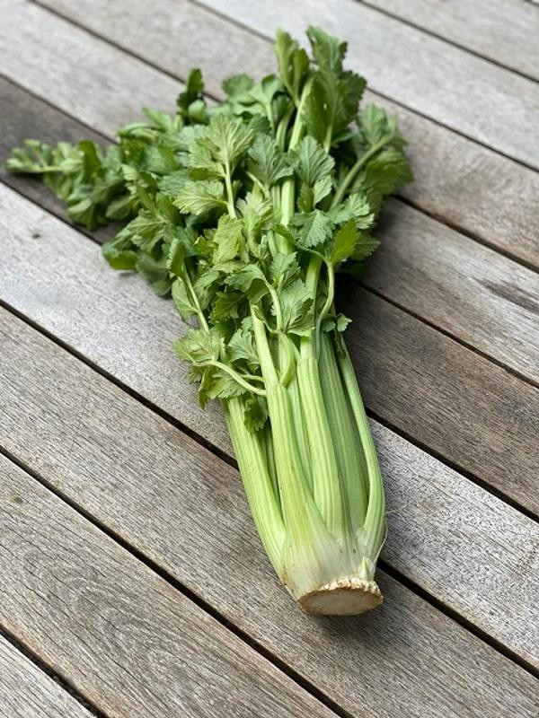 Produktfoto zu Staudensellerie