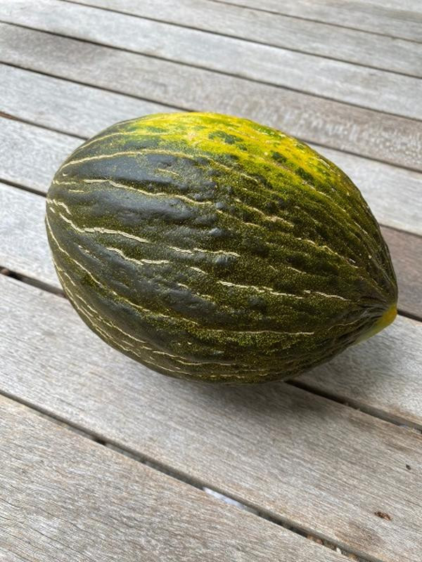 Produktfoto zu Melone, Piel de Sapo