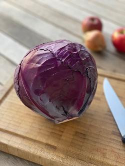 Produktfoto zu Rotkohl vom Biohof Bursch