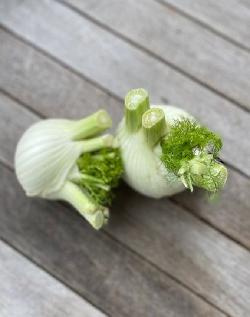 Produktfoto zu Fenchel