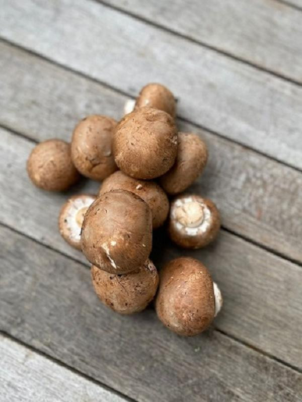 Produktfoto zu Champignons 250g