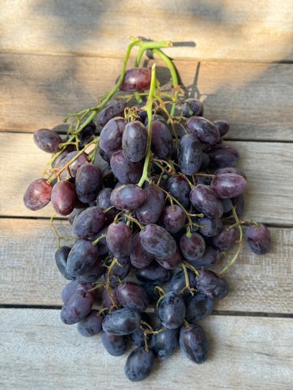 Produktfoto zu Trauben, rot mit Kern 300g Portion