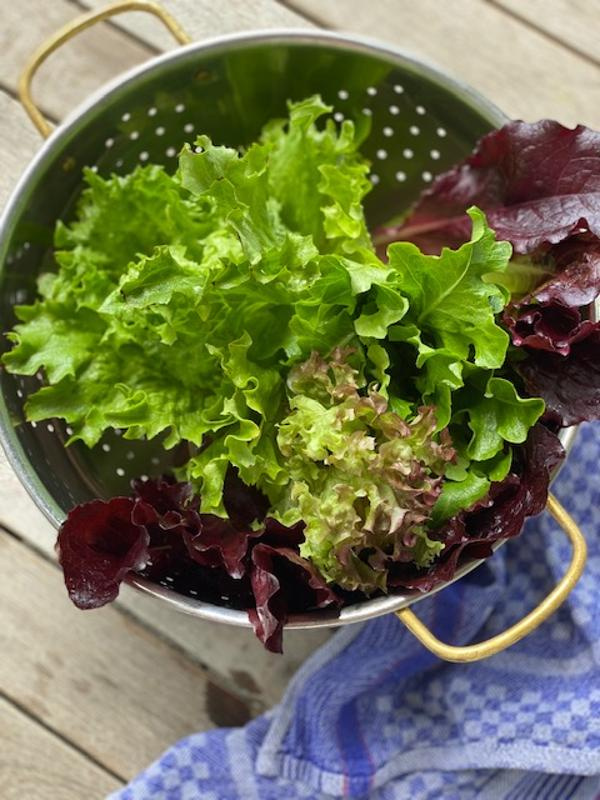 Produktfoto zu Pflücksalat Asia 120g