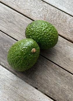 Produktfoto zu Avocado Stk.