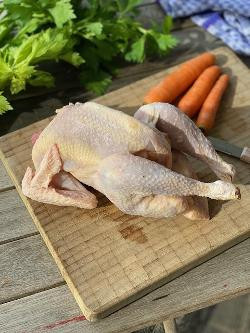 Produktfoto zu Suppenhuhn, ganz ca. 1,25 kg