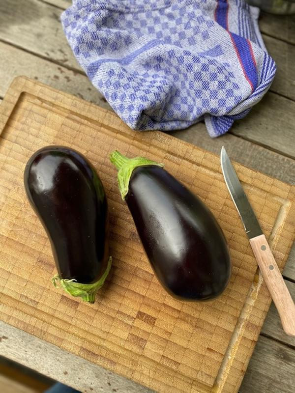 Produktfoto zu Aubergine