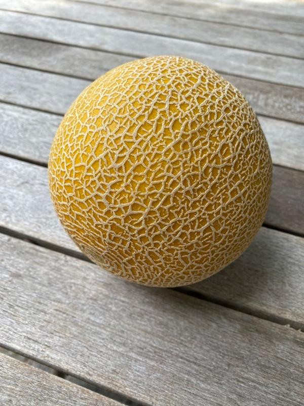 Produktfoto zu Mini Galia Melone