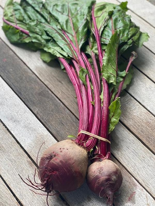 Produktfoto zu Rote Bete im Bund