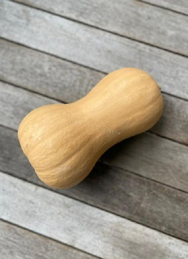 Produktfoto zu Butternut, Kürbis