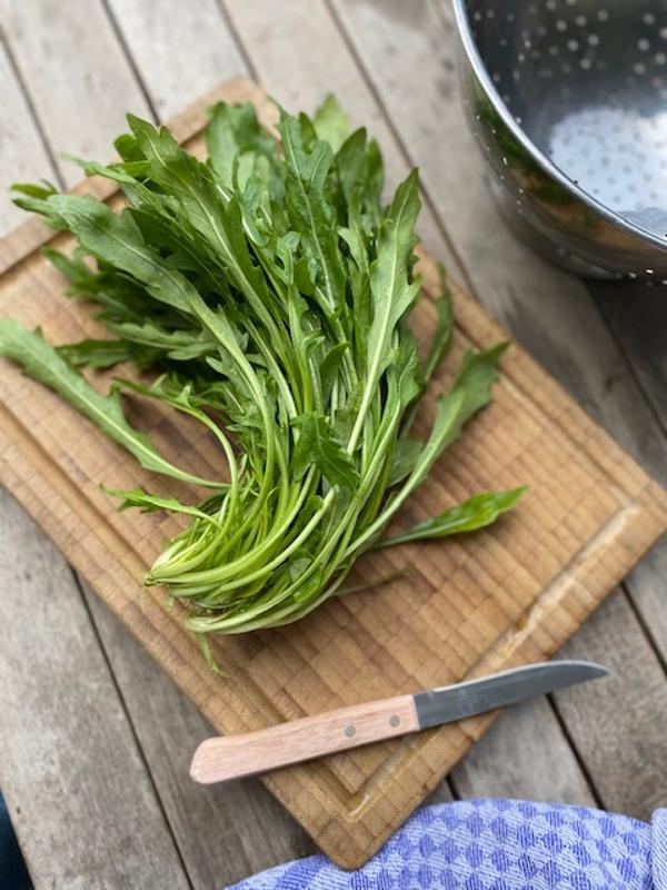 Produktfoto zu Rucola Portion 100 g