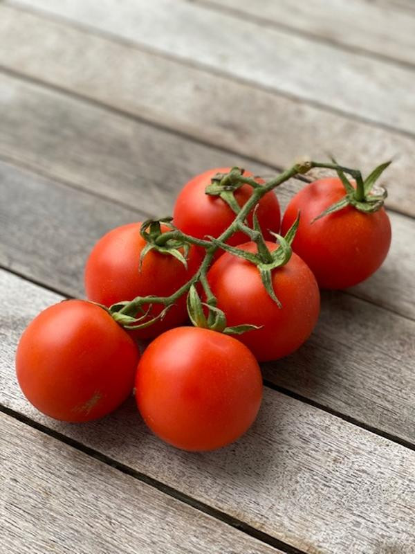 Produktfoto zu Strauchtomaten